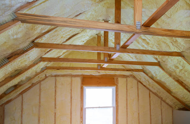 Best Insulation Installation Services in Waikoloa Village, HI