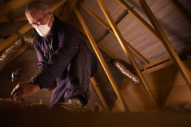 Professional Insulation Contractor in HI