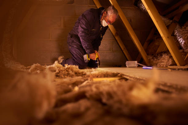 Best Residential Insulation in Waikoloa Village, HI